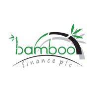 logo bamboomfi.com
