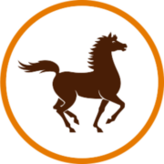 logo chaabibank.nl