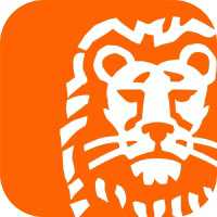 logo ing.pl 219