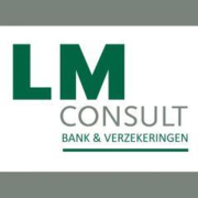logo lmconsult.be